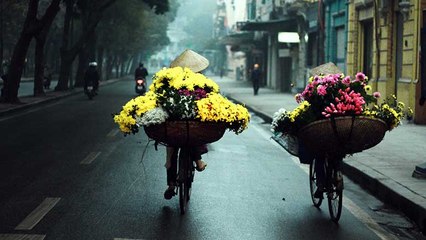 NetViet stories -18/06/2019