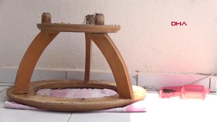 ANTALYA Yavru kedi kayboldu, itfaiyeci ve polislere soruşturma açıldı