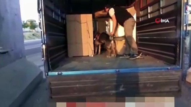 Para kasalarına kaçak sigara sevkiyatı polis ekiplerine takıldı