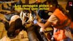 Marruecos instala concertinas con dinero europeo después de que España las retire