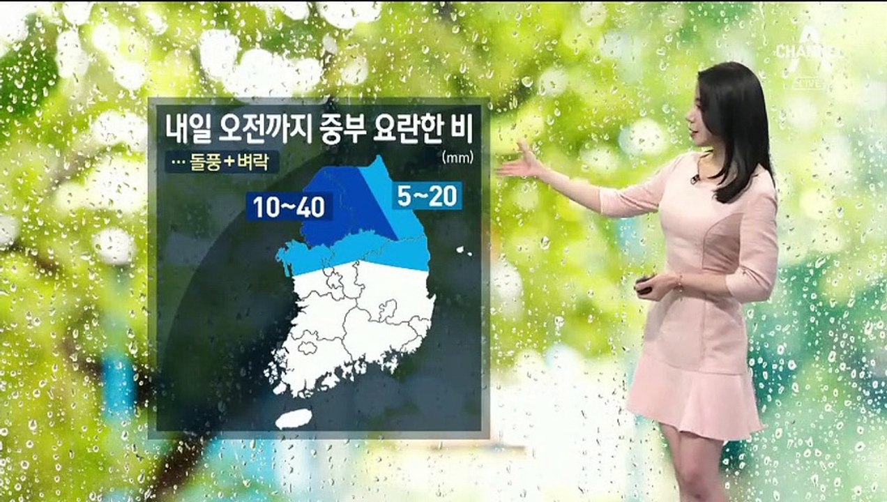 [날씨]내일 오전까지 중부 요란한 비…내일 오후~밤 소나기