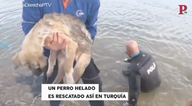 Público al Día - 27 de diciembre de 2018