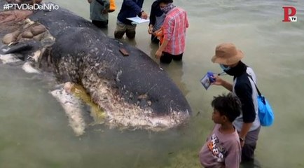 Público Al Día - 20 de noviembre de 2018