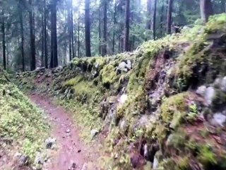 Piste de bobsleigh des JO de 1924 à Chamonix  : des vestiges encore bien présents