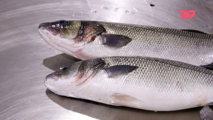 Si ta ruajmë peshkun - Në Shtëpinë Tonë, 17 Qershor 2019, Pjesa 4