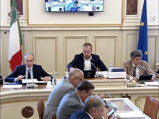 Roma - Audizioni su rifiuti da imballaggio (18.06.19)