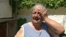 Prerja e pemëve për ndërtime /Banorët në Durrës kundër: Ka rrezik
