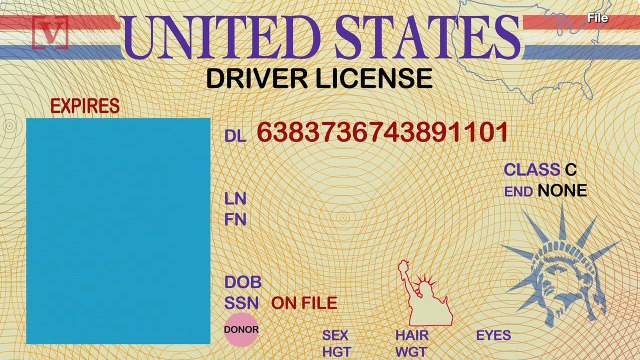 Undocumented Immigrants Can Soon Obtain a Driver’s License in NY as Bill is Signed into Law
