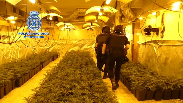 Incautado el mayor alijo de heroína de 2019 en Nambroca (Toledo)