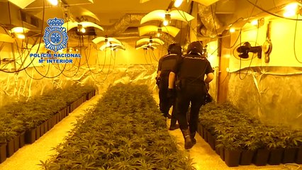 Incautado el mayor alijo de heroína de 2019 en Nambroca (Toledo)