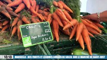 Marseille : Des fruits et légumes gorgés de soleil sur le marché de Saint-Just