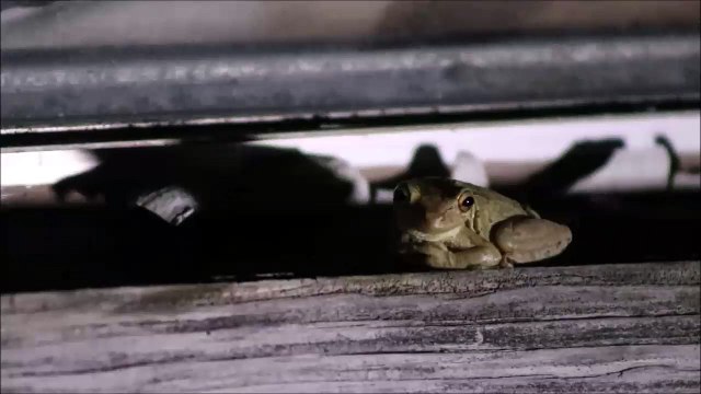 5 TRUE EXTREMELY SCARY STALKER STORIES