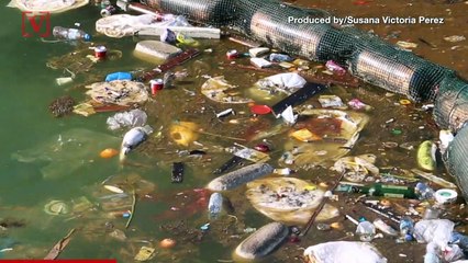 Coca Cola and Pepsi Among The Biggest Ocean Polluters : Report