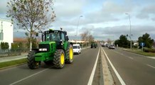 'Tractorada' en Mérida para reclamar precios justos