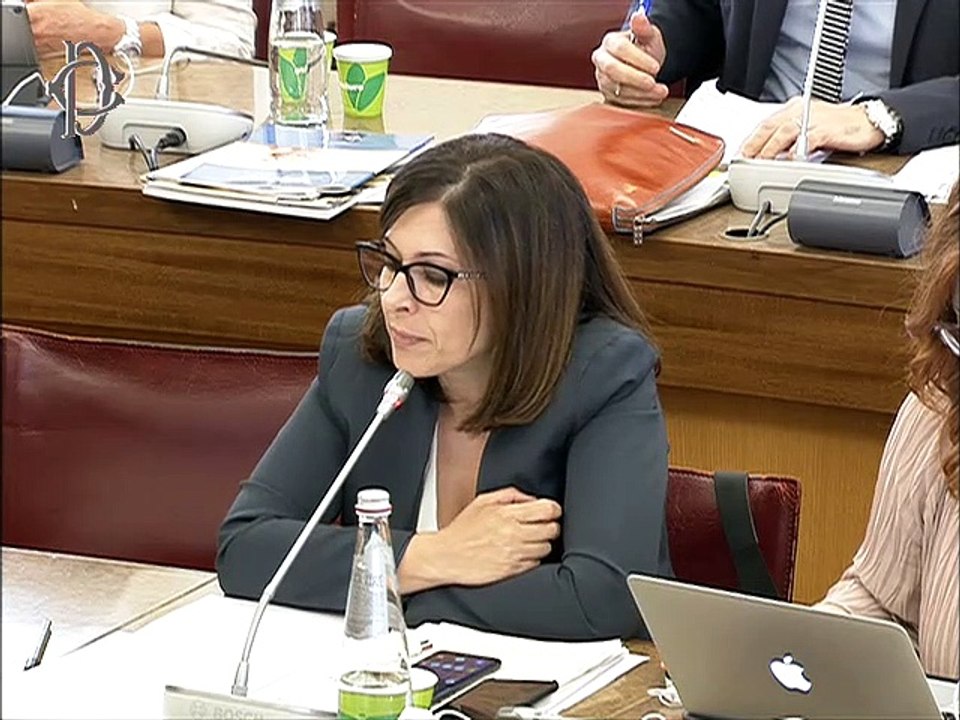 Roma - Audizioni su defibrillatori in ambiente extraospedaliero (18.06.19)