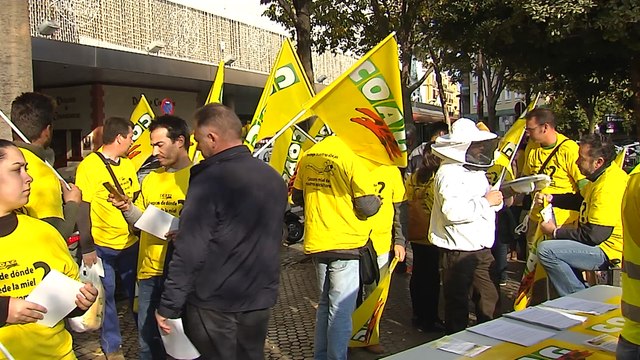 Apicultores piden competencia leal frente a mieles no nacionales