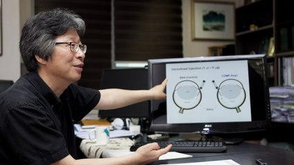 [단독] IBS 혈관연구단장 1억4천만 원 연구비 유용 / YTN