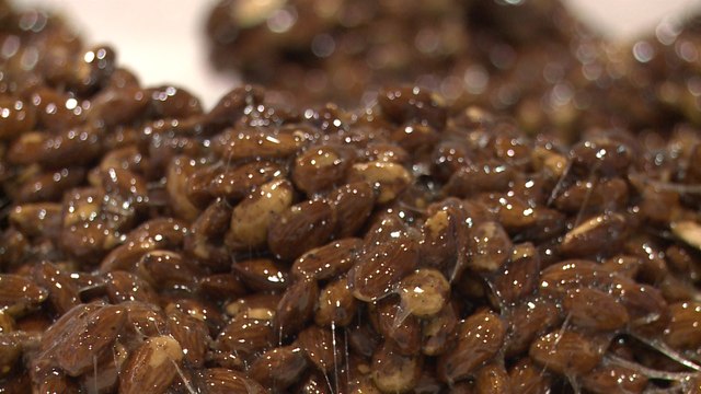 Turrón de Jijona y Alicante espera un aumento del 3% en ventas