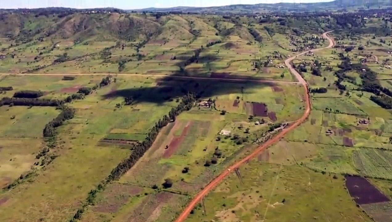 Accusations de meurtres et de viols, pollution... En Tanzanie, le projet "Green Blood" a enquêté sur les agissements troubles d'une mine d'or