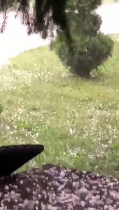 Breshër në Studençan të Suharekës