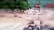 Araklı bölgesinde yaşanan sel felaketi