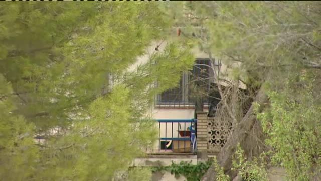 Dictan una orden de alejamiento para la exasesora de Podemos que secuestró a su hijo