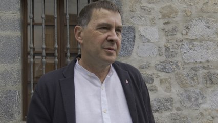 El coordinador de EH Bildu, Arnaldo Otegi