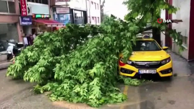 Deniz olmayan Bilecik'te ilk yüzen o oldu...2 gündür süren sağanak yağış sele dönüştü, vatandaş tepki olarak biriken suda yüzdü