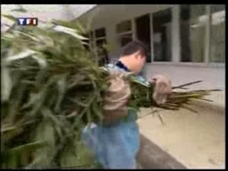 7a8 Viagra pour pandas part.2