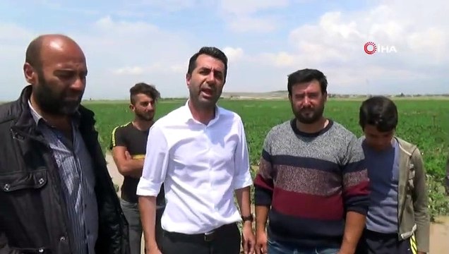 Niğde’de Patates Tarlaları Su Altında Kaldı