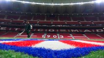 El Wanda Metropolitano ya tiene nuevo césped