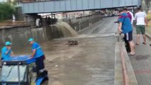 Aydın'da sağanak yağış hayatı olumsuz etkiledi