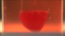 Se imprime el primer corazón 3D con vasos sanguíneos y células