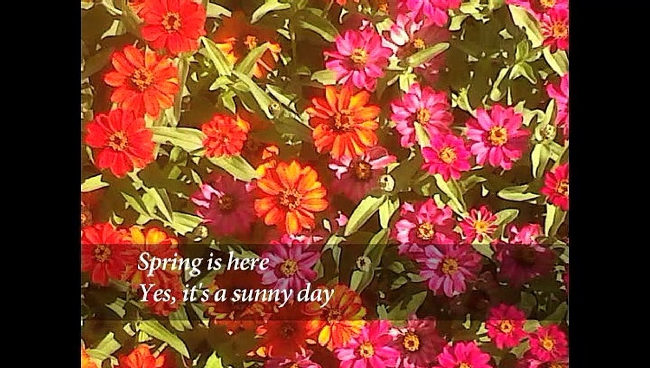 Spring