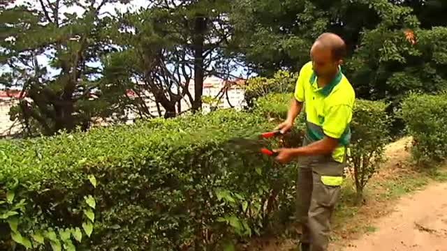 El Gobierno sube una media de 60 euros la cuota anual de los autónomos