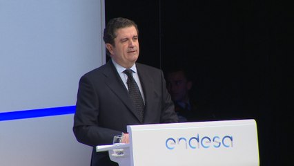 Prado (Endesa) pide un gobierno "estable"