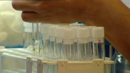 El bioquímico español Mariano Barbacid  logra eliminar el cáncer de páncreas en ratones