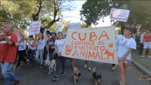 En Cuba se manifiestan por los derechos de los animales
