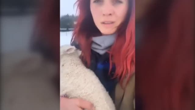 La nieve deja atrapadas a unas ovejas en Inglaterra