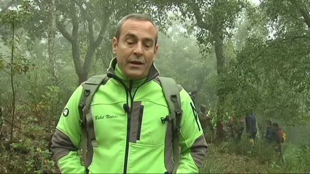 Otoño, manjar de setas