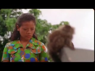 CINE HOLLIÚDY - O ASTISTA CONTRA O CABRA DO MAL