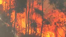 El fuego ya ha arrasado 550 hectáreas en Rianxo