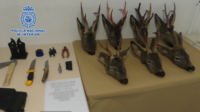 Detienen a dos individuos que se dedicaban a la caza furtiva de corzos