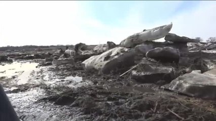 Télécharger la video: La crecida del río Missouri causa graves daños en cultivos y granjas de Nebraska