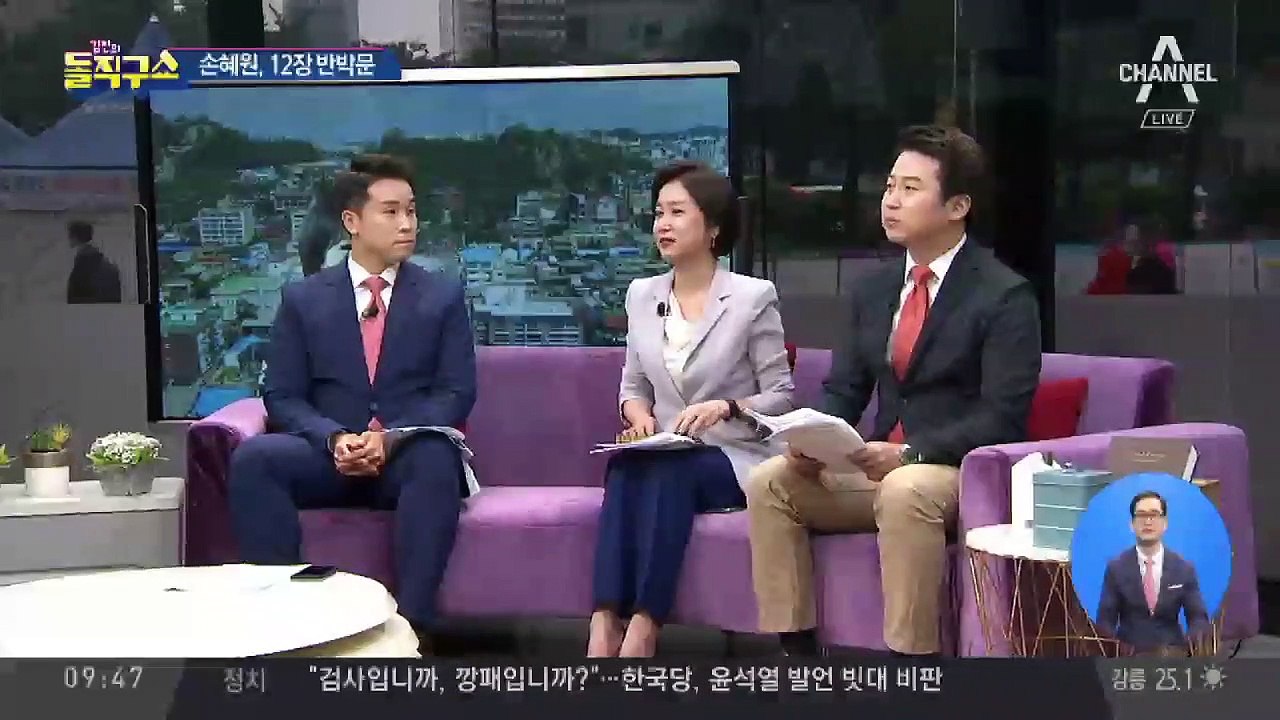 “난 안 봤다, 보좌관은 봤다” 손혜원의 황당 반박문
