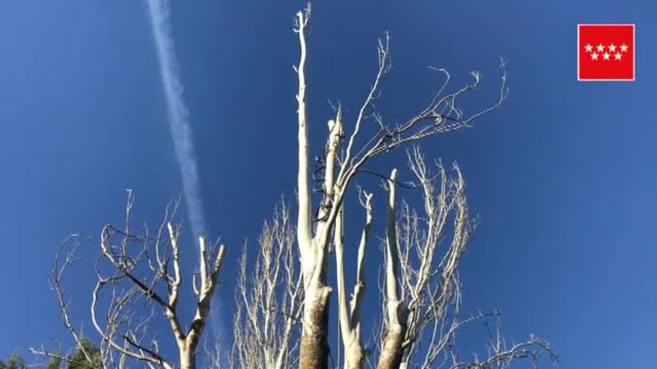 Muere electrocutado un hombre en Colmenar (Madrid)