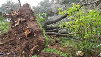 El impactante vídeo que graba un testigo de un tornado en Córcega