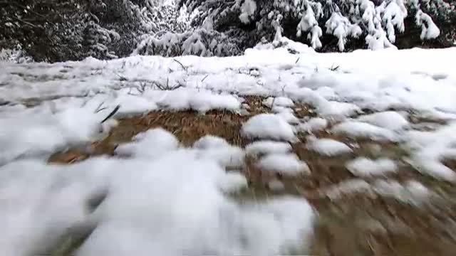 La Generalitat estudia cobrar 3.000 euros a los montañeros rescatados en el Pirineo