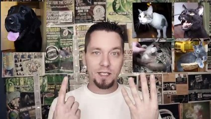 Talking Kitty Cat - Sylvester Gets A Job