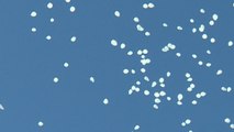 La AVT lanza 192 globos blancos en memoria de las víctimas